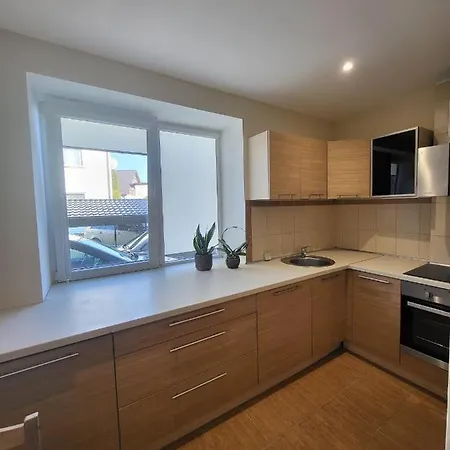 Apartment In The Center Of Kaunas